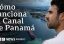 Cómo funcionan los 