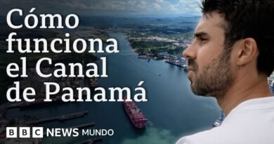 Cómo funcionan los 