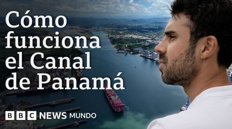 Cómo funcionan los