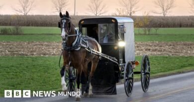 Cómo la hermética comunidad Amish combate el brote de sarampión más mortal de la historia reciente en EE.UU. - BBC News Mundo