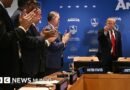 Cómo la nueva derecha que gobierna en América Latina muestra su alineamiento pleno con Trump ante los ojos del mundo - BBC News Mundo