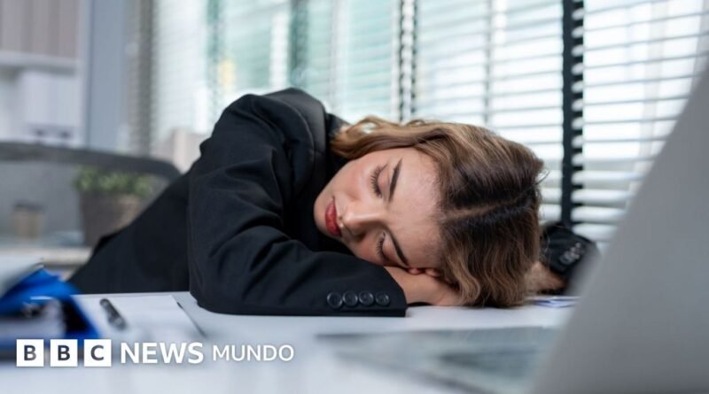 Cuál es la razón de que nos dé sueño después de almorzar (y por qué tomarse un café no es la mejor forma de espabilarse) - BBC News Mundo