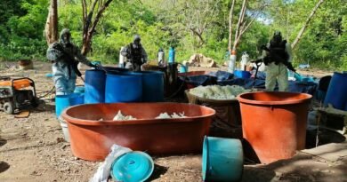 Desmantelan cuatro laboratorios clandestinos para producir drogas sintéticas en Michoacán y Guerrero - RR Noticias