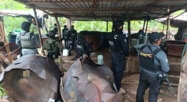 Desmantelan tres narcolaboratorios para metanfetamina en Guerrero: García Harfuch - RR Noticias