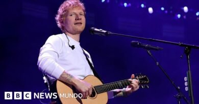 Ed Sheeran admite en un concierto haber cometido 