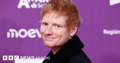 Ed Sheeran: cómo cultivar la imagen del
