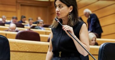 El Gobierno prevé reubicar a los menores irregulares en Ceuta en un plazo mínimo de dos meses si continúa el bloqueo del PP