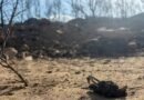 El fallecimiento de una de las heridas eleva a 15 las víctimas mortales del incendio de Los Gallardos