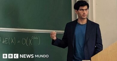 El matemático que llevaba 7 años trabajando en descifrar un enigma que fue resuelto por un aficionado - BBC News Mundo