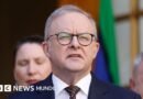 El primer ministro de Australia denuncia que un agente de OpenAI hackeó un sitio web de su gobierno - BBC News Mundo