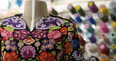 El vestido de Sheinbaum para el Grito rinde homenaje a las artesanas del Istmo de Tehuantepec - RR Noticias