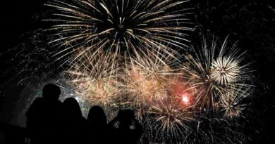 Gobiernos de distintos estados plantean reducir uso de pirotecnia en fiestas patrias - RR Noticias