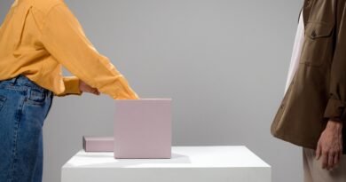INE dice adiós al color rosa y vive cambios en la Secretaría Ejecutiva al inicio de las Elecciones 2027 - RR Noticias