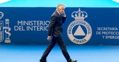 Interior evita el choque y asume que Balas siga al frente de las investigaciones que afectan al PSOE