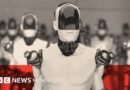La IA es cada vez más difícil de dominar: ¿podrán los seres humanos mantener el control? - BBC News Mundo