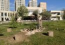 La española asesinada en México era de Canarias y estudiaba Educación Infantil en la Universidad de Granada