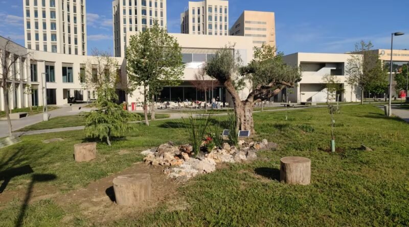 La española asesinada en México era de Canarias y estudiaba Educación Infantil en la Universidad de Granada