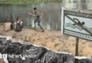 La playa de los huesos: cómo Rusia intenta olvidar la represión soviética, pero las pruebas siguen aflorando en un lago - BBC News Mundo