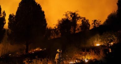 Las 275.000 hectáreas quemadas llevan a Interior a prorrogar la campaña contra incendios hasta el 31 de octubre