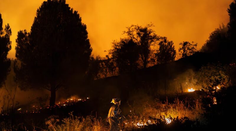 Las 275.000 hectáreas quemadas llevan a Interior a prorrogar la campaña contra incendios hasta el 31 de octubre