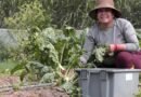 Las mujeres campesinas son las guardianas tanto de Pachamama como de la soberanía alimentaria 