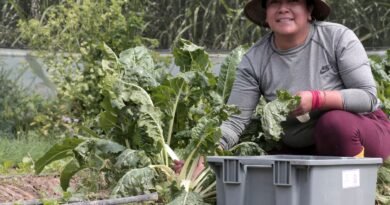 Las mujeres campesinas son las guardianas tanto de Pachamama como de la soberanía alimentaria 