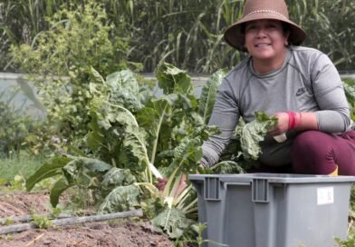 Las mujeres campesinas son las guardianas tanto de Pachamama como de la soberanía alimentaria 