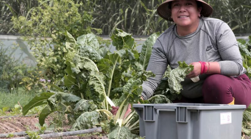 Las mujeres campesinas son las guardianas tanto de Pachamama como de la soberanía alimentaria