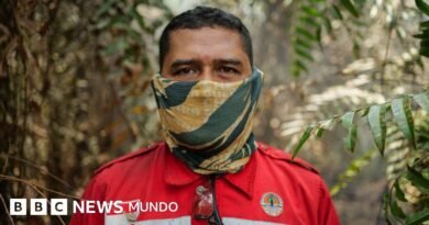 Los voluntarios que arriesgan sus vidas para desactivar las 
