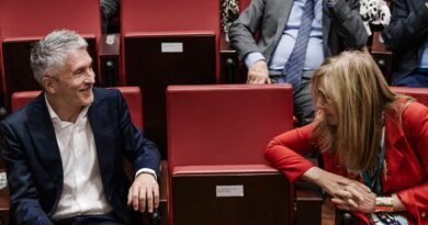 Marlaska se queja ante el Poder Judicial de que la jueza pidiera a la Policía no informarle sobre Ceuta