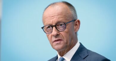 Merz acusa a la extrema derecha de querer llevar a cabo “una limpieza étnica” en Alemania