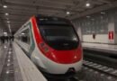Municipio de Querétaro garantiza la protección de árboles por obras del Tren México-Querétaro - RR Noticias
