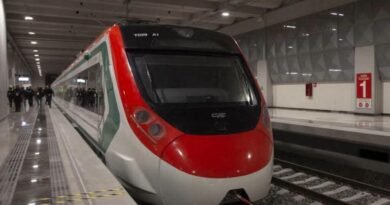 Municipio de Querétaro garantiza la protección de árboles por obras del Tren México-Querétaro - RR Noticias