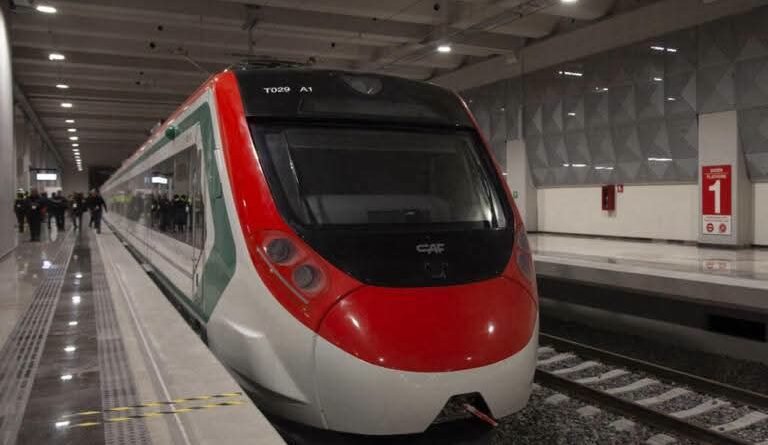 Municipio de Querétaro garantiza la protección de árboles por obras del Tren México-Querétaro - RR Noticias