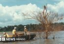 Mymba Kuéra: cómo fue el monumental rescate de 30.000 animales cuando Paraguay y Brasil construyeron la represa de Itaipú - BBC News Mundo