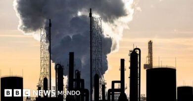 “Nos preguntamos cómo reducir nuestra huella de carbono en casa, cuando las petroleras producen un impacto inconmensurablemente mayor”