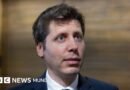 OpenAI asegura haber resuelto en 88 horas un problema matemático sin respuesta durante 90 años (y las acusaciones plagio en su contra) - BBC News Mundo