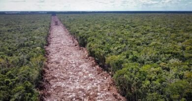 PAN exige transparencia ambiental por Tren - RR Noticias