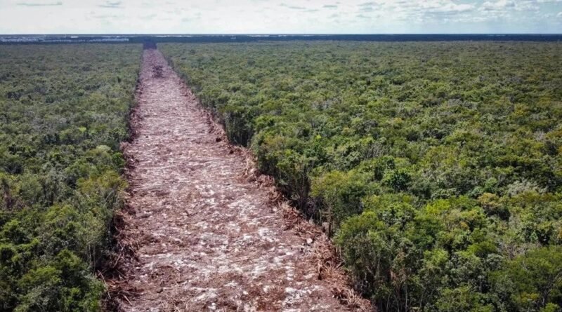 PAN exige transparencia ambiental por Tren - RR Noticias