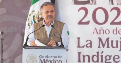 Patrimonio de Romero Oropeza debe revelarse: ex comisionada del INAI - RR Noticias