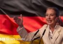 Por qué el este de Alemania se convirtió en bastión de la extrema derecha - BBC News Mundo