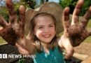 Por qué mancharte las manos con tierra tiene beneficios para tu salud - BBC News Mundo
