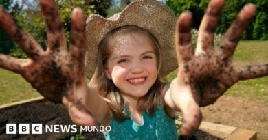 Por qué mancharte las manos con tierra tiene beneficios para tu salud - BBC News Mundo