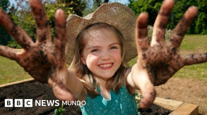 Por qué mancharte las manos con tierra tiene beneficios para tu salud - BBC News Mundo