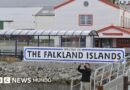 Por qué volvió la tensión entre Argentina e Inglaterra por Malvinas/Falklands 44 años después de la guerra - BBC News Mundo