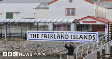 Por qué volvió la tensión entre Argentina e Inglaterra por Malvinas/Falklands 44 años después de la guerra - BBC News Mundo