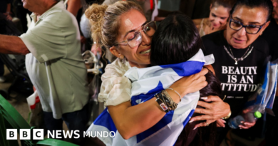 Qué se sabe sobre el apuñalamiento en un vuelo rumbo a Israel que califican como un “intento de atentado terrorista” Qué se sabe sobre el apuñalamiento en un vuelo rumbo a Israel que califican como un