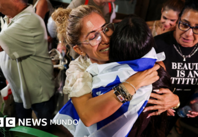 Qué se sabe sobre el apuñalamiento en un vuelo rumbo a Israel que califican como un 