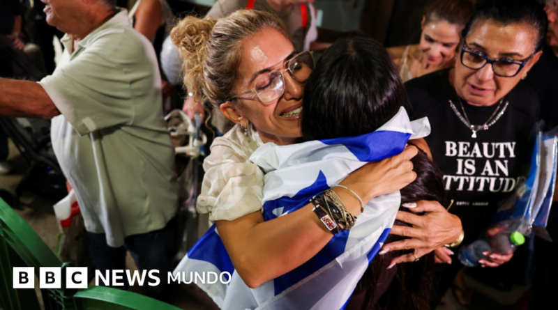 Qué se sabe sobre el apuñalamiento en un vuelo rumbo a Israel que califican como un 