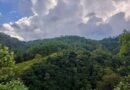 Querétaro avanza en la protección de áreas naturales - RR Noticias